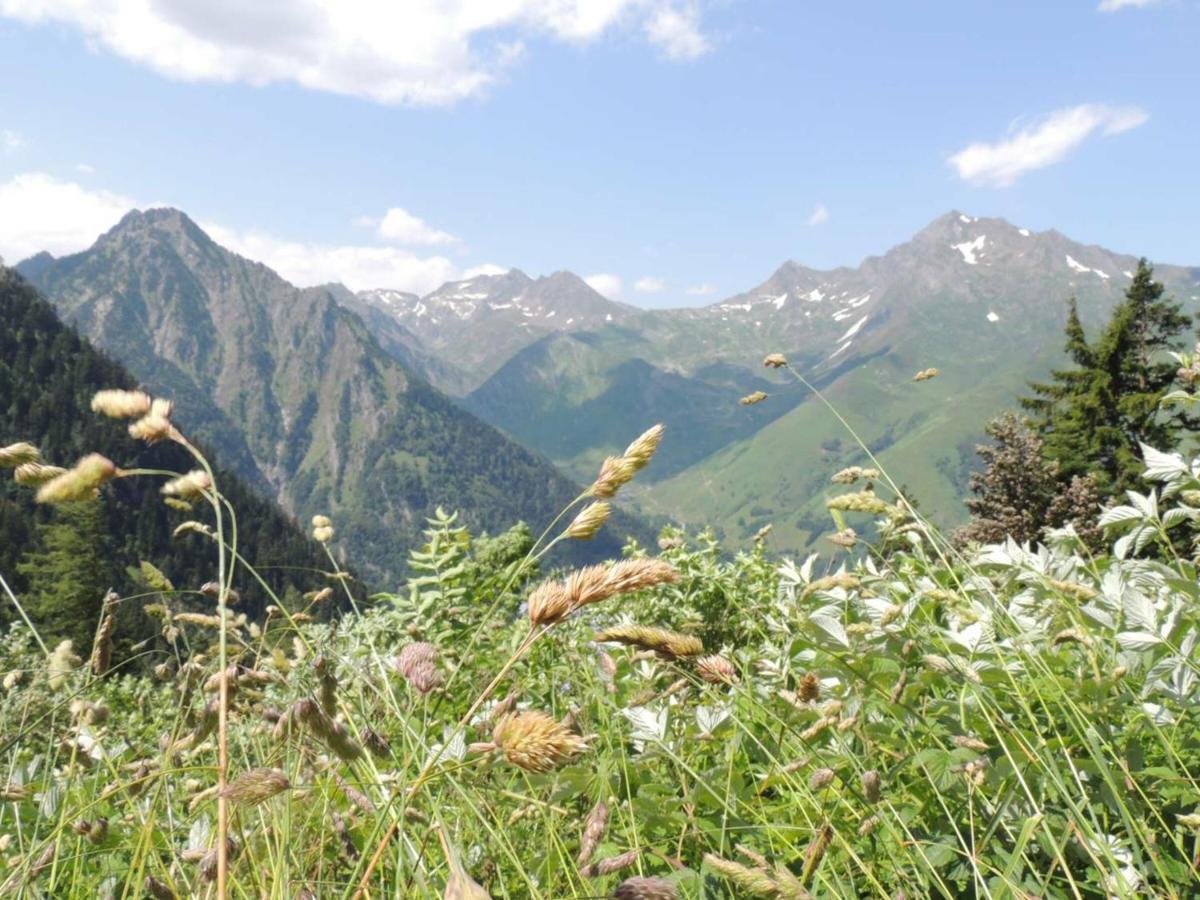 Studio Pour 4 Personnes Au Centre De Cauterets, Proche Telecabines Et Thermes - Fr-1-234-269 Экстерьер фото